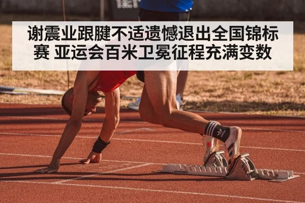 谢震业跟腱不适遗憾退出全国锦标赛 亚运会百米卫冕征程充满变数