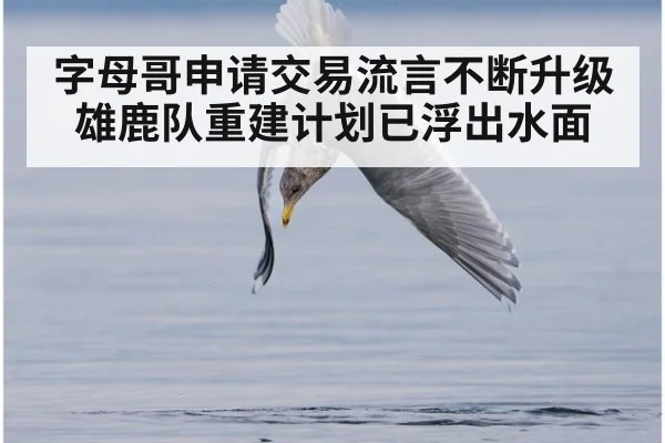 字母哥申请交易流言不断升级雄鹿队重建计划已浮出水面